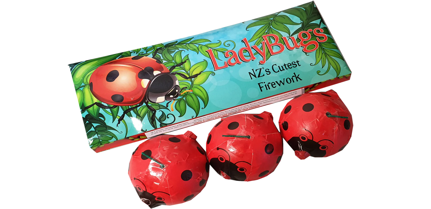 Lady Bug Spinners