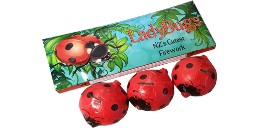 Lady Bug Spinners